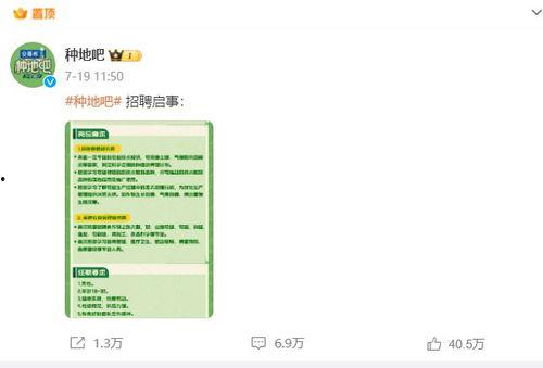 种地吧小摊吃瓜,瓜田里的欢乐时光