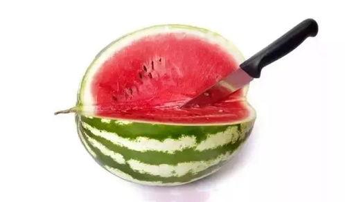 只吃高端瓜,高端瓜果的尊享之旅