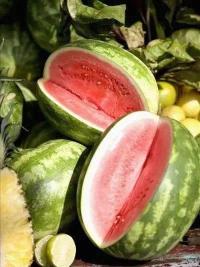 全城吃瓜达人,揭秘都市生活中的趣味人生