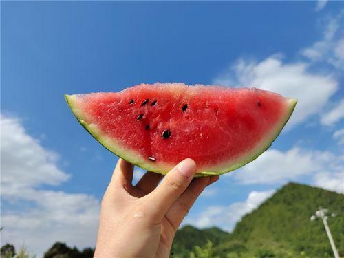 吃瓜什么季节好,吃瓜正当时——夏季瓜果盛宴