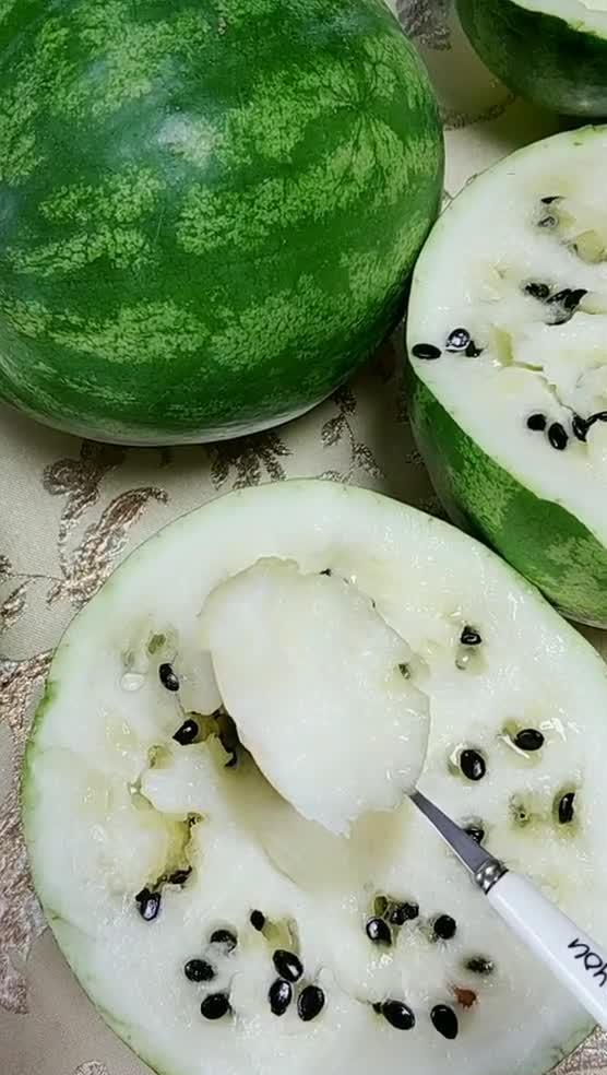 东北豆豆吃瓜日常,趣味横生的东北生活剪影