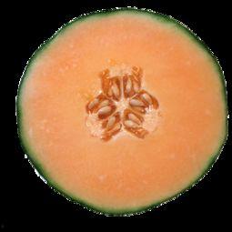 少女吃哈密瓜,少女邂逅哈密瓜的清新美味之旅