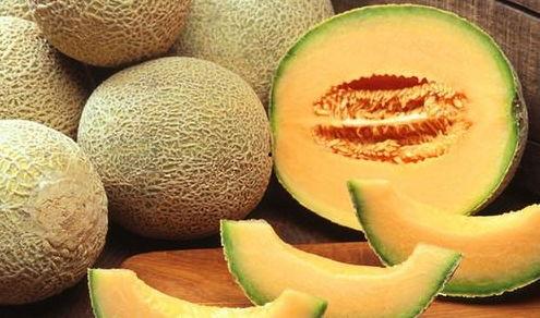 吃麻瓜和哈密瓜,探寻瓜类美食的奇妙之旅