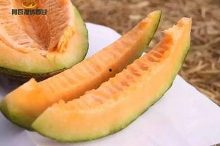 吃瓜喽图片,吃瓜群众视角下的娱乐圈风云录