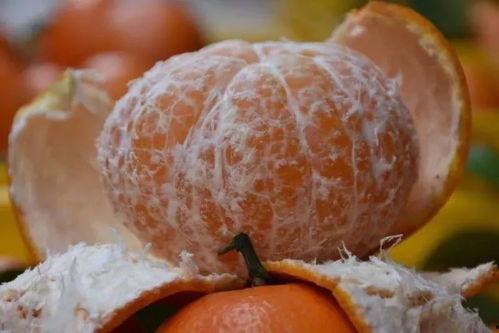 围观吃瓜照片高清,揭秘吃瓜群众的热情与好奇